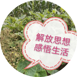 任盈秀解放思想感悟生活