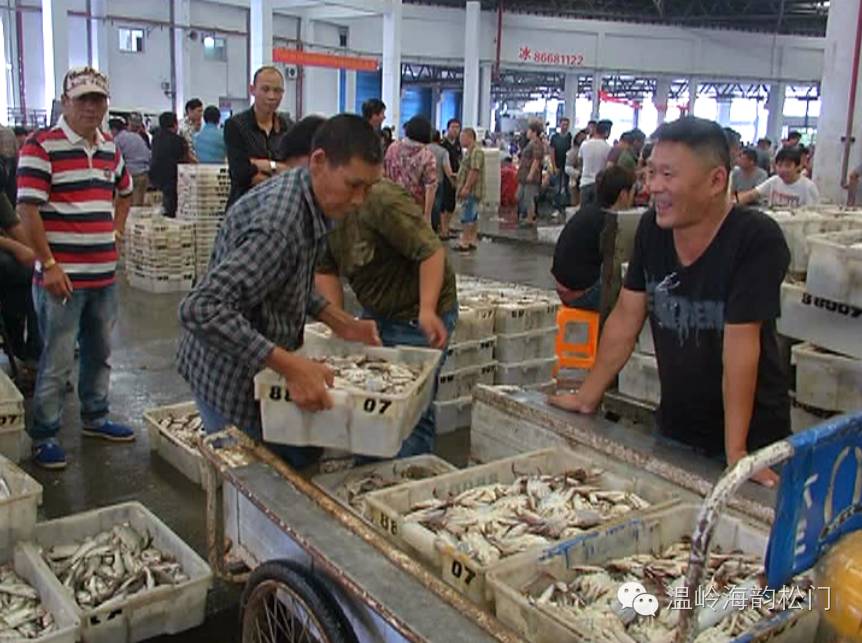 休渔结束后水产市场迎来首个交易高峰日,北海水产研究联盟