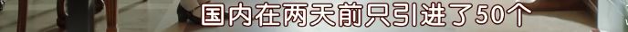 這部糖分堪比《舉重妖精金福珠》的劇，才是冬季浪漫愛情故事該有的樣子！ 戲劇 第65張