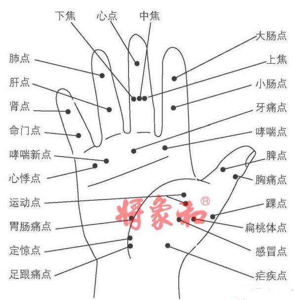 手部反射点