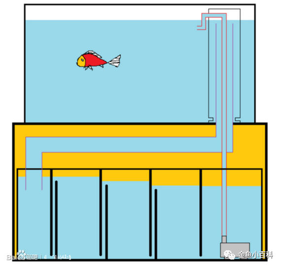 【diy鱼缸教科书】史上最牛b,最详尽的diy三重溢流底滤鱼缸教程.