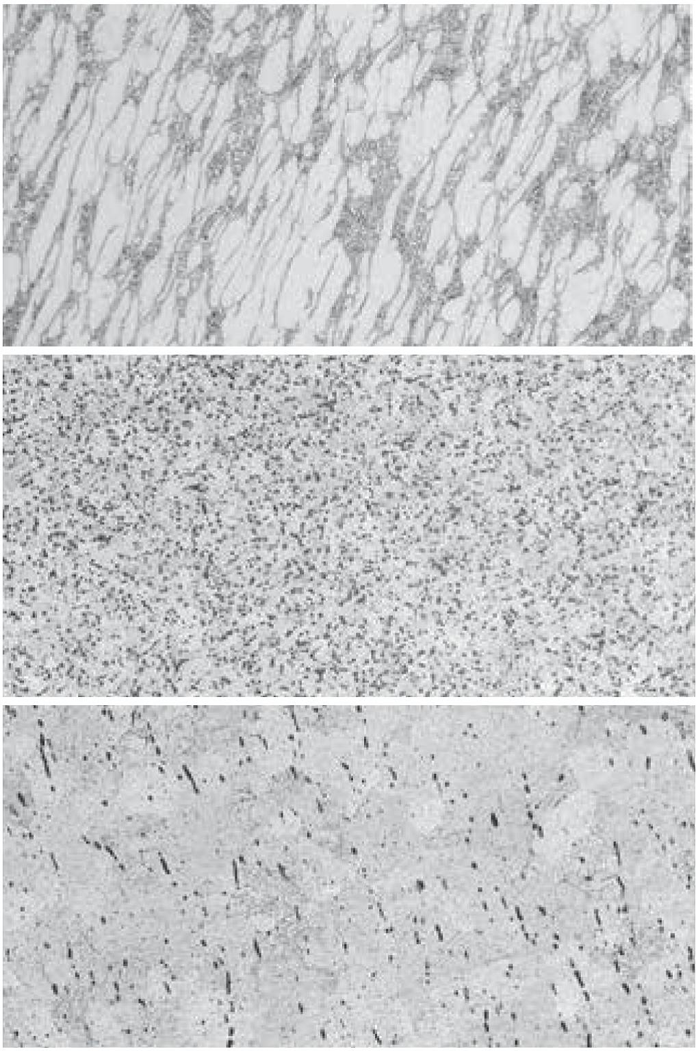 钛及钛合金金相制备及微观组织欣赏的图4