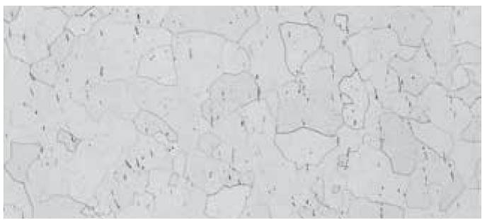 钛及钛合金金相制备及微观组织欣赏的图7