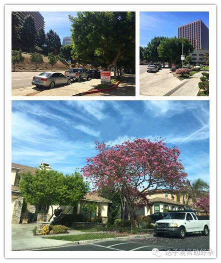 月子中心美國_美國生子月子中心哪家好_月子中心赴美生子