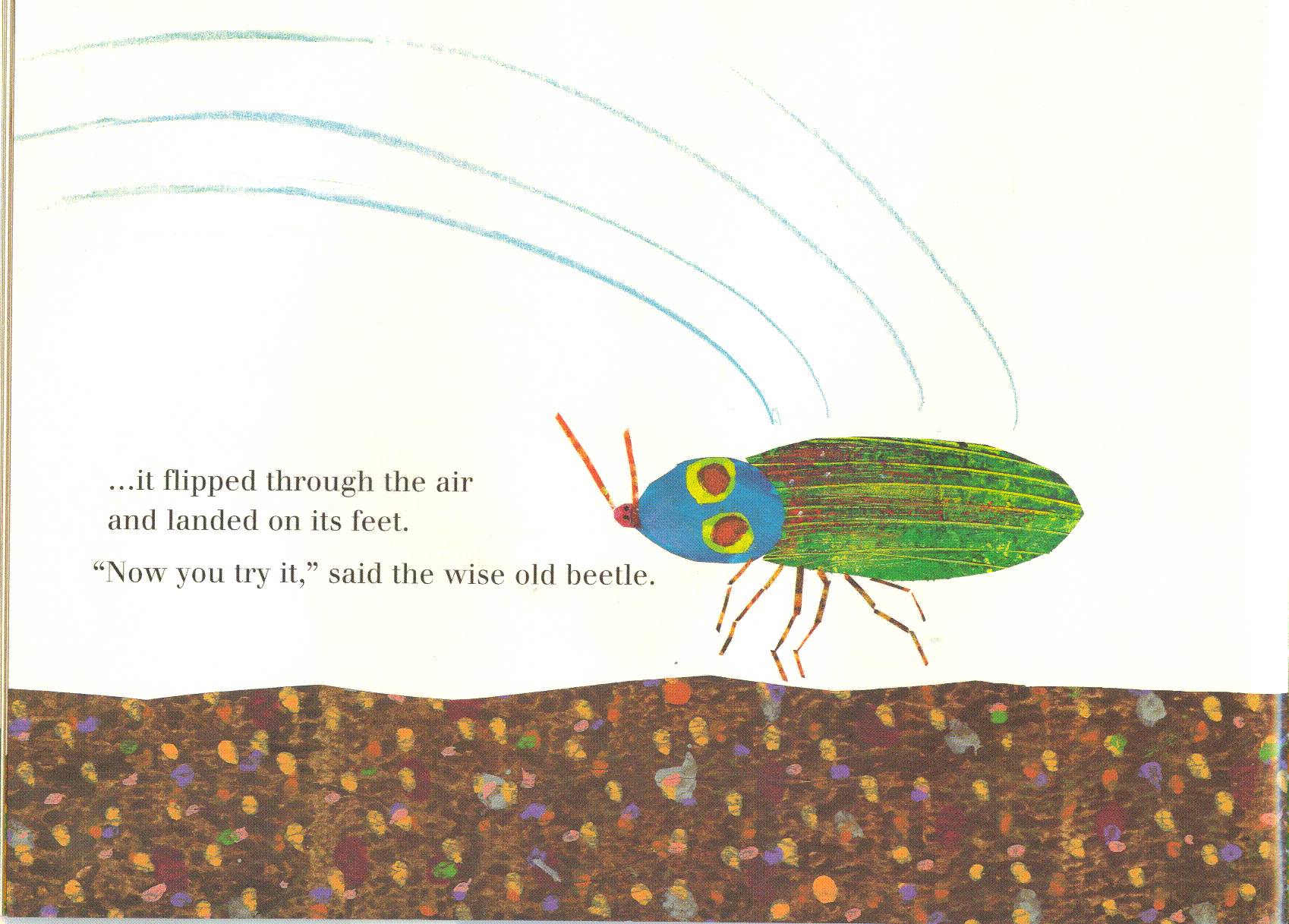 英文有声|roland哥哥带你轻松读绘本—the very clumsy click beetle