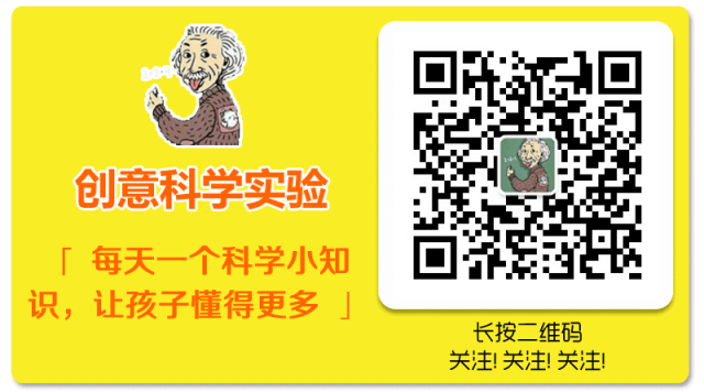 【创意科学实验】坚强的鸡蛋！插图5