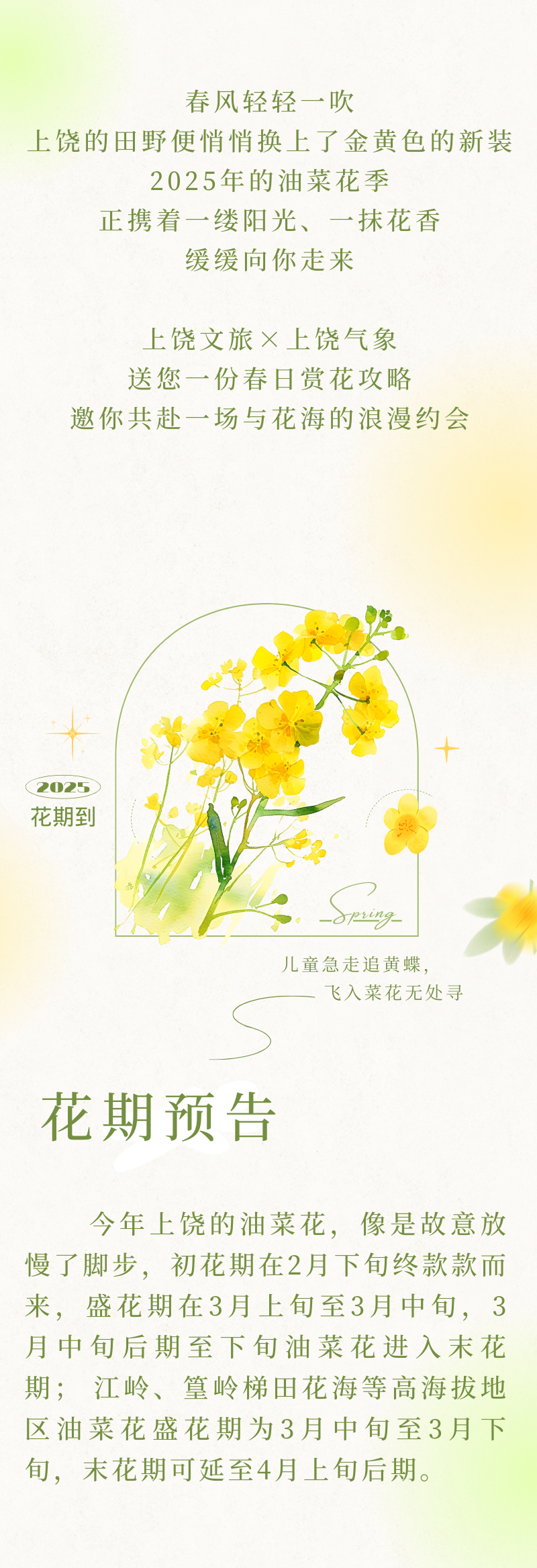 油菜花推文 (3).png