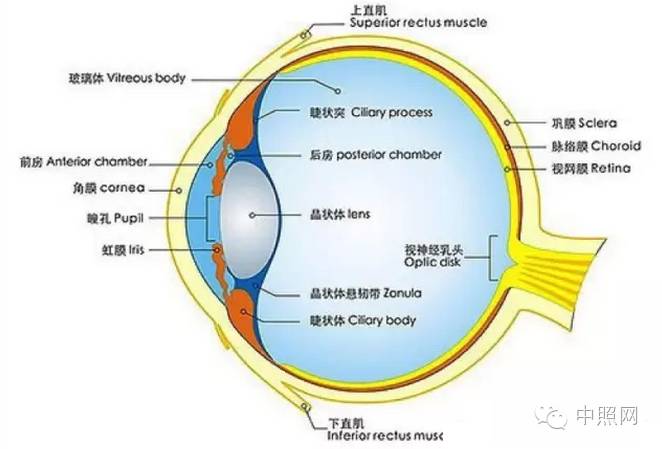 全国教室照明设计现状及应用解析