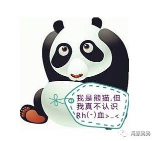 在怀孕生孩子这件事上,这世界对O型血孕妈充满了恶意!-怀孕期