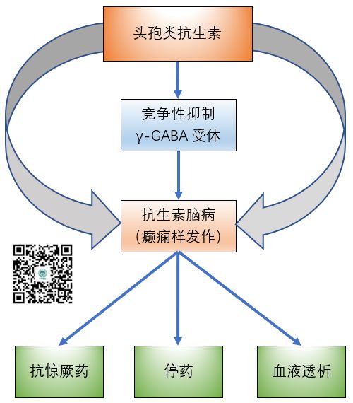 二,头孢类抗生素脑病的主要机制 头孢类抗生素脑病的可能机制是,头孢