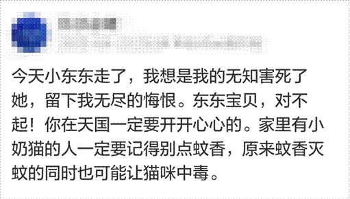 謀殺貓咪的最大隱患居然是？極易被忽視的致命毒物，在慢慢毒害你的貓 萌寵 第4張