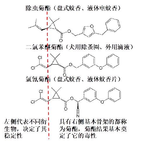 謀殺貓咪的最大隱患居然是？極易被忽視的致命毒物，在慢慢毒害你的貓 萌寵 第7張