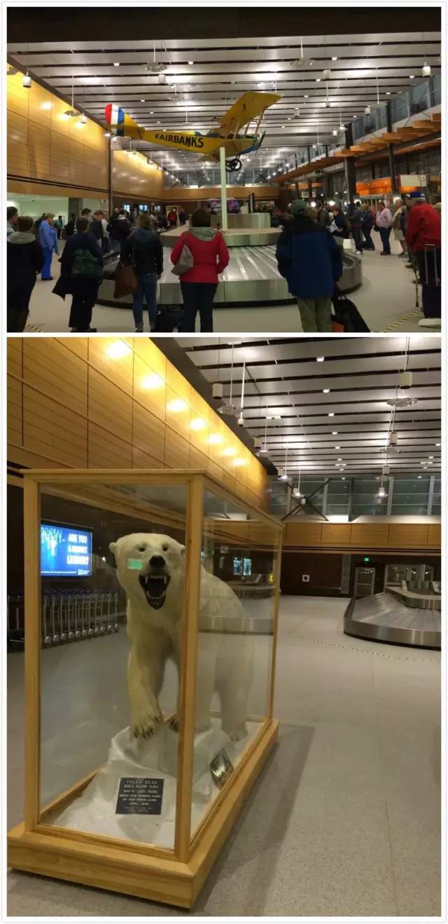 游学:我在北极圈Fairbanks看极光