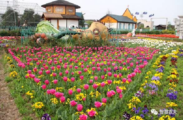 养老+农业+文化+旅游+地产+产业融合