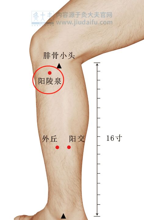胆经一通万病无踪1个穴位通肝胆5大疾病全解决