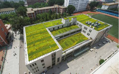 按照海绵城市的建设规划 接下来我们会有 雨水花园 (网络配图) 植草沟