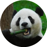 科技的殿堂