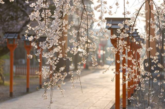 划重点!2017年上半年的完美出行计划都在这里了!