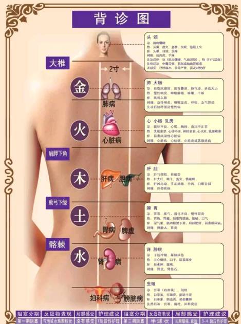 背诊专业知识