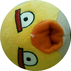 二不挂五