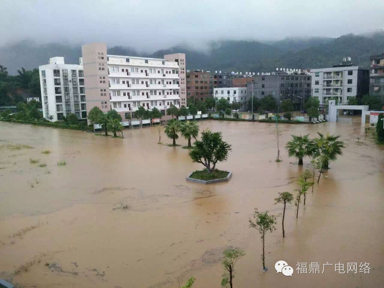 前岐.