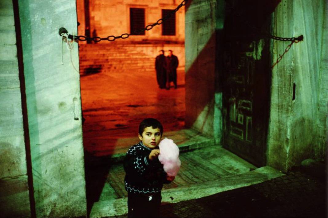 alex webb 