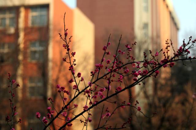 六十五年影像重现，看哭数十万师大学子