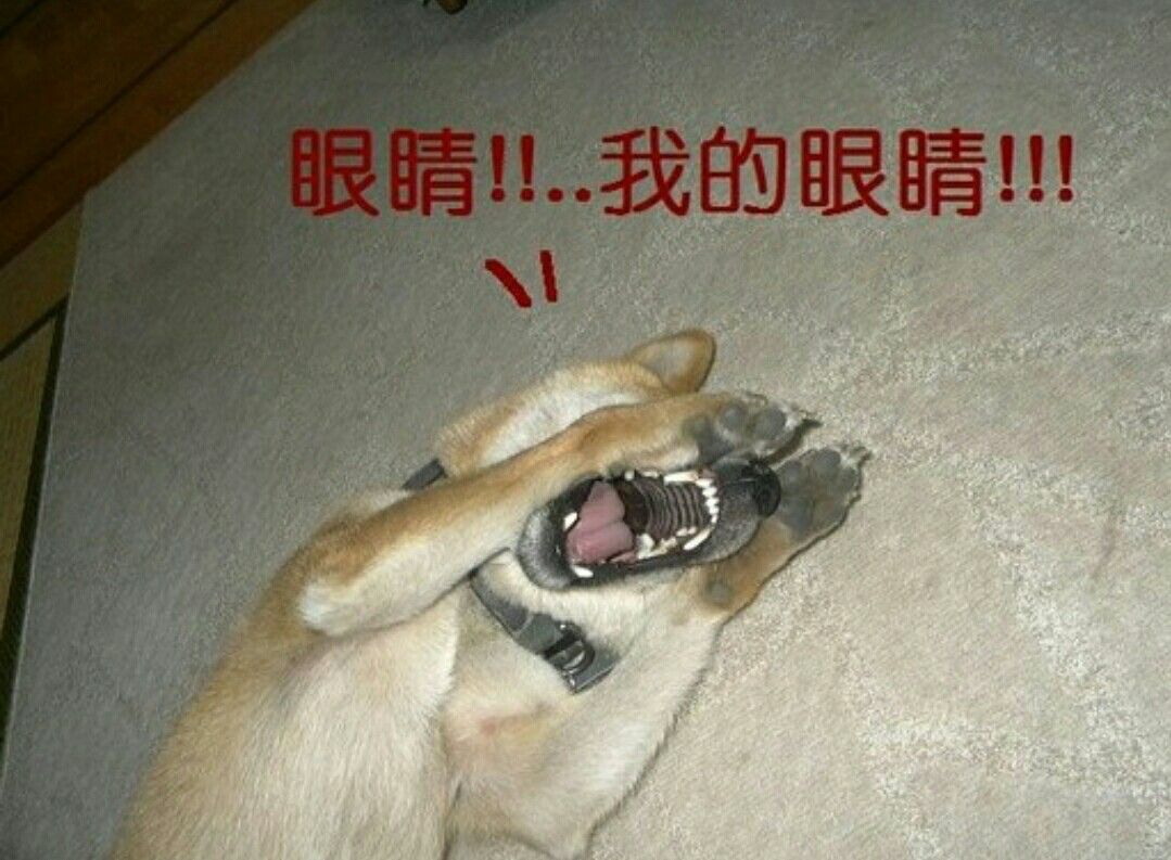 这他就是现在马路上臭名昭著