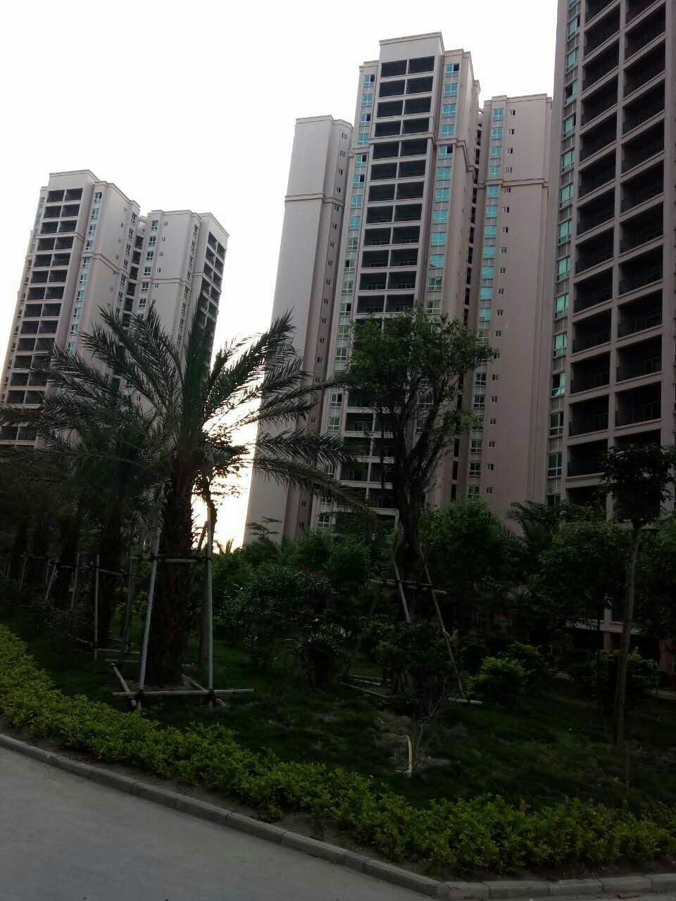 北海桐洋新城在售两房86
