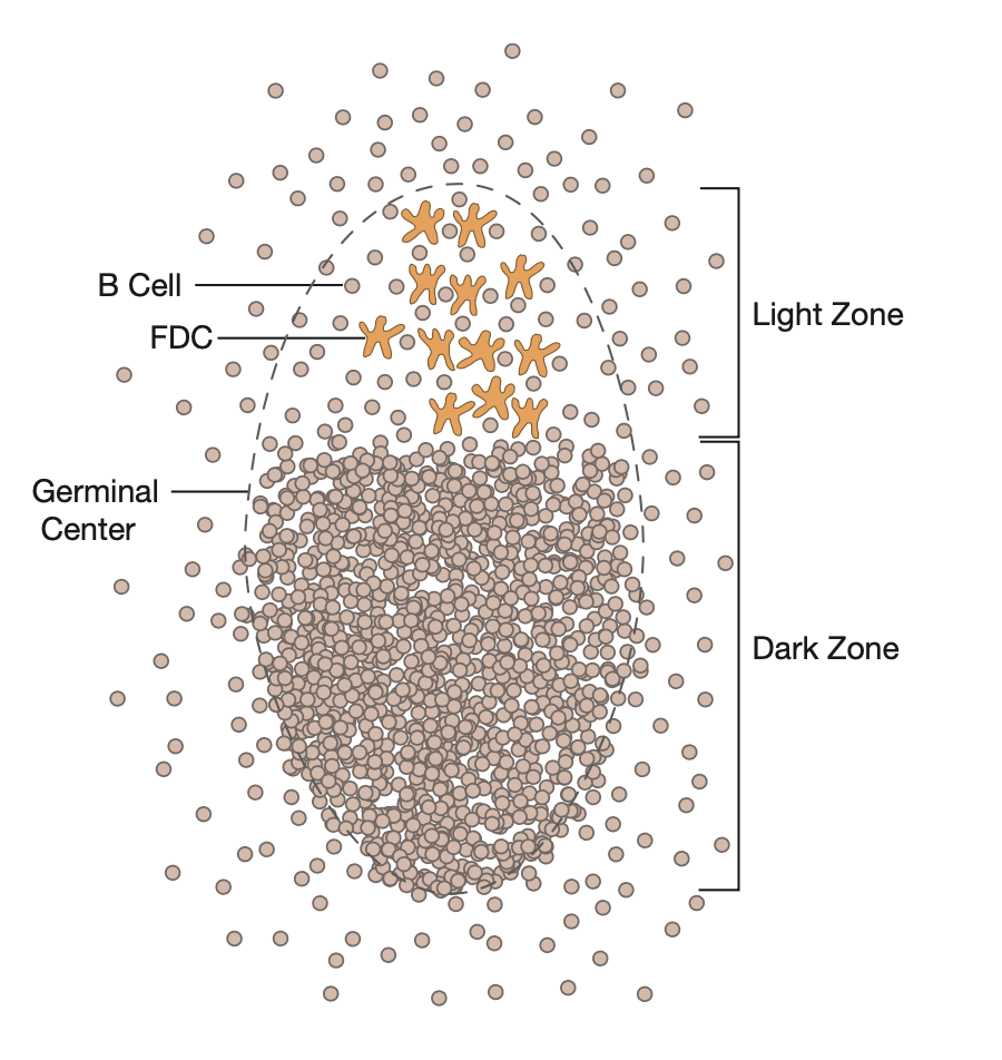 暗区突围辅助哪里买