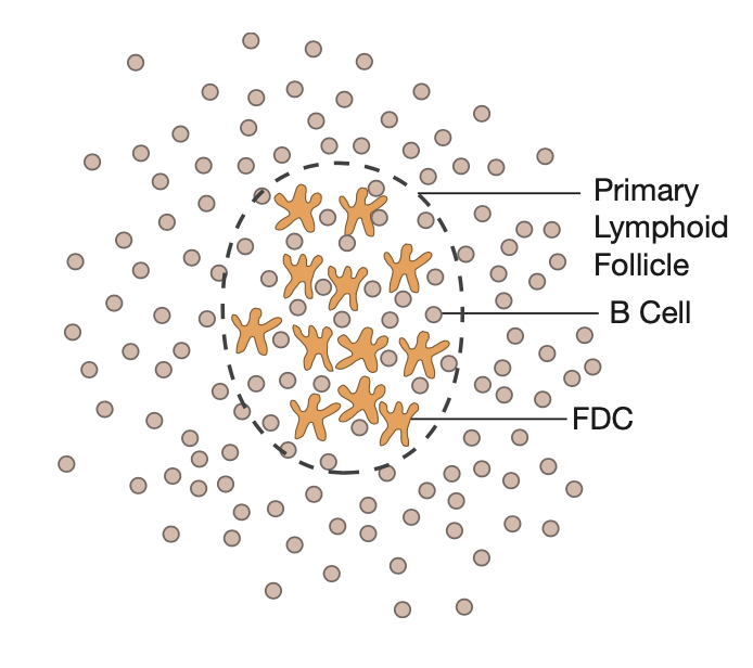 暗区突围辅助哪里买