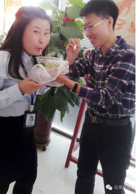 呼市网站推广专家