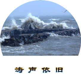 涛声一久