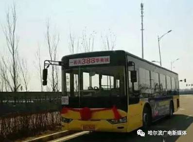 【蓝网生活】哈尔滨地铁招聘,有五险一金 | 另有新公交线路,ic卡实用