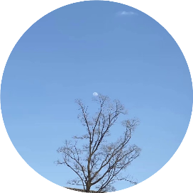 山月不知心中事哇