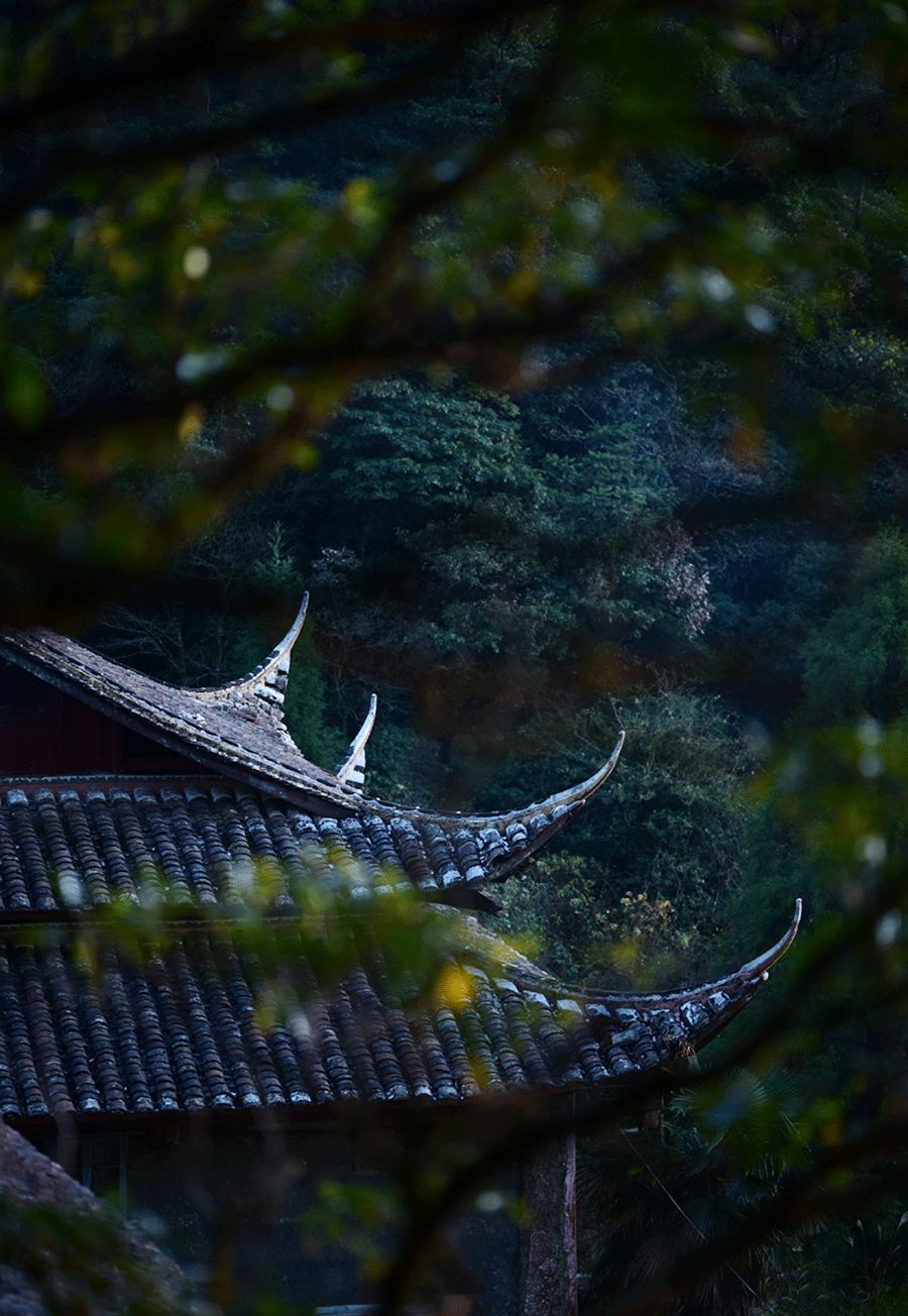 人间朝暮，慢慢散步