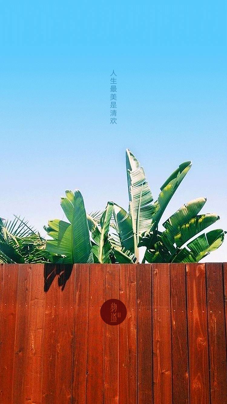 一日道|人生最美是清欢