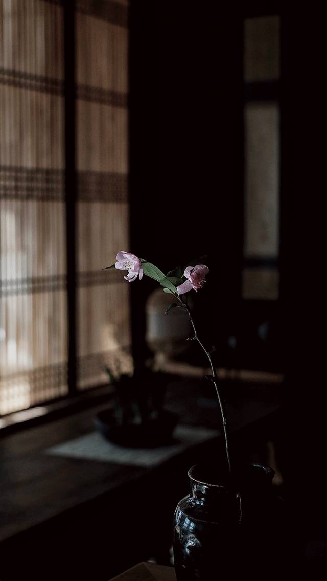人在有闲的时候才最像是一个人 - 松隐居主 - 松隐文阁 人在有闲的时候才最像是一个人 - 松隐居主 - 松隐文阁
