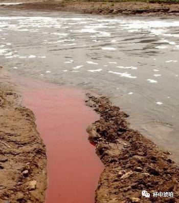 给你一个喝安化黑茶的理由，请查收。