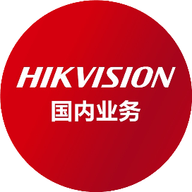 海康威视国内业务