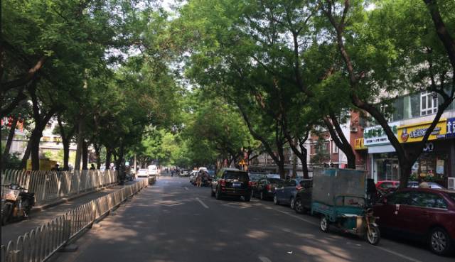 海淀路北京大学南门小道