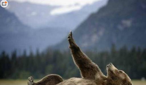 【笑料百出】笑多了会怀孕—这样的妹纸,如果是你的女友赞不赞-怀孕期