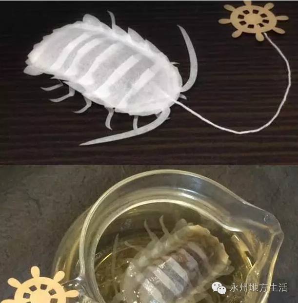 【笑料百出】笑多了会怀孕——要逃课也不用这么拼吧!-怀孕期