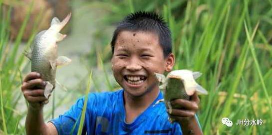 刺鱼鲶鱼哪里钓_刺须鲶鱼哪里钓_鲶鱼昂刺怎么钓