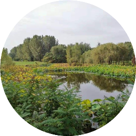 城市情报栈