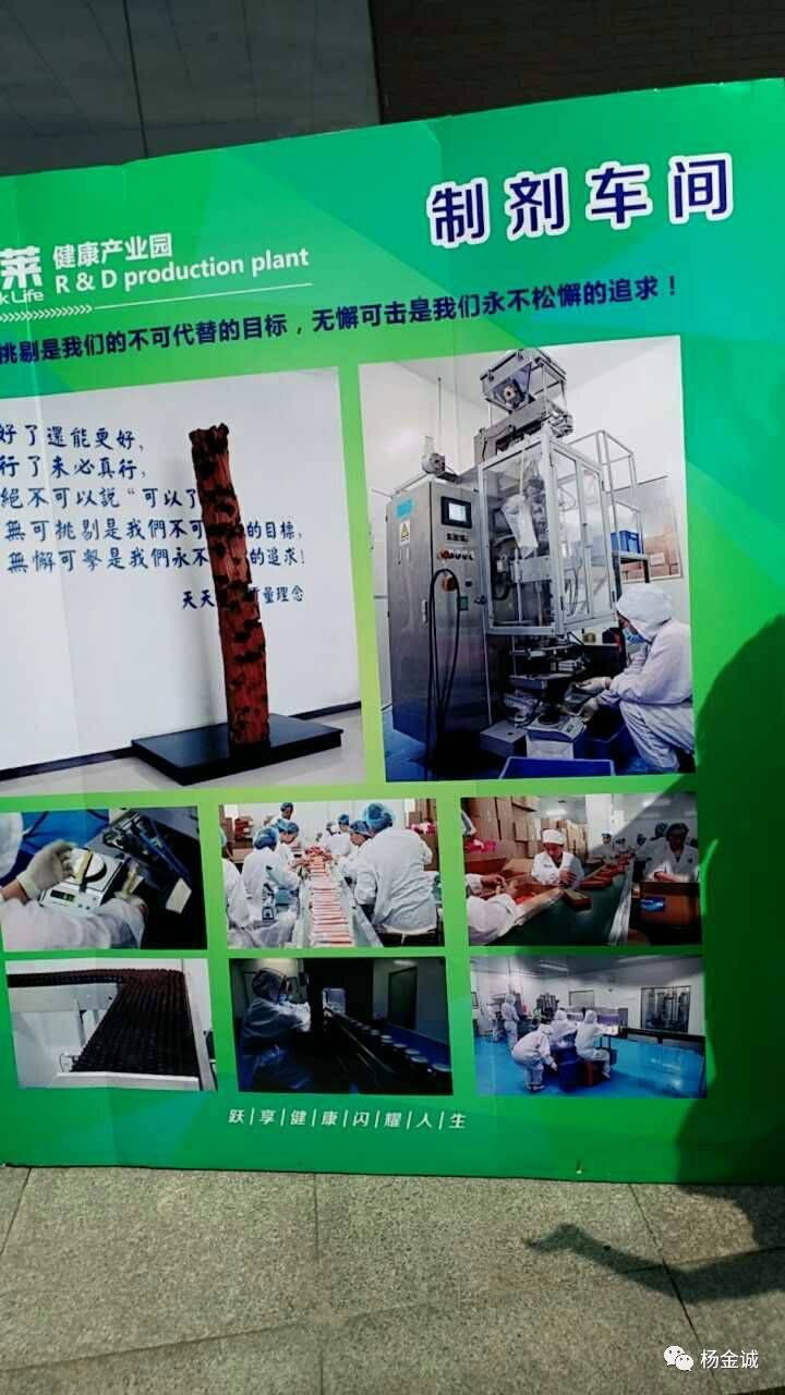 2017年5月8日原乐利来长城体系上海领袖朱强玉带领千馀人奔赴武汉考察