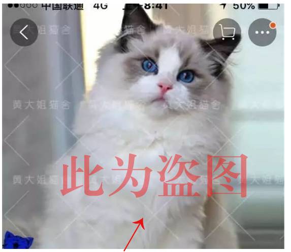 盗图!你有许可证吗?