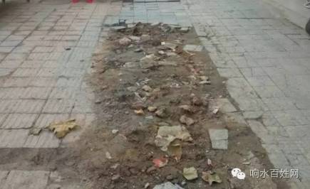 【网友报料】响水东园街门口怎么会被挖成这死色道?灌南这名女子出名了 竟然上江苏电视台说和别的男人怀孕…-怀孕期