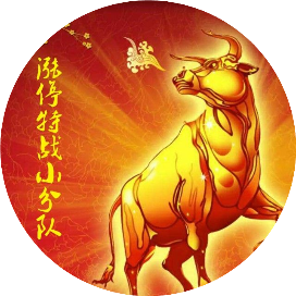 涨停特战小分队