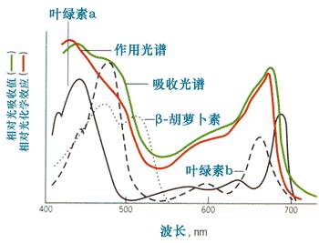 养鱼知识